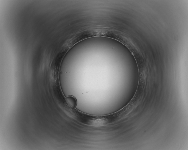 X0000116630218200912181331