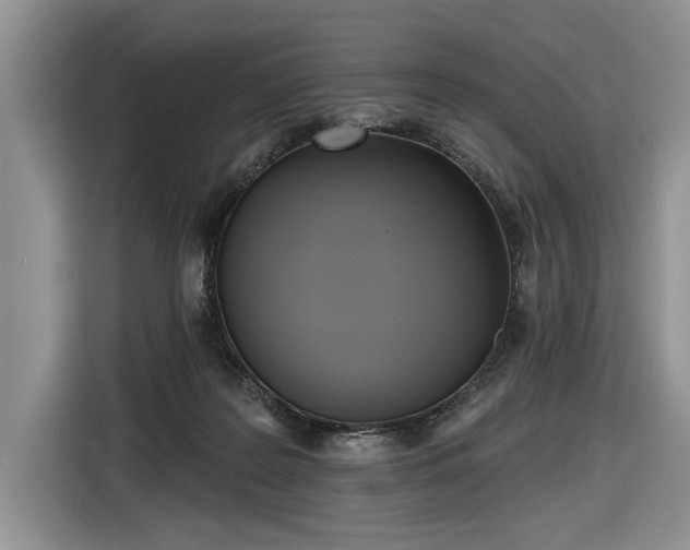 X0000116630219200912181331