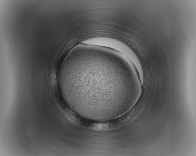 X0000116630220200912181331