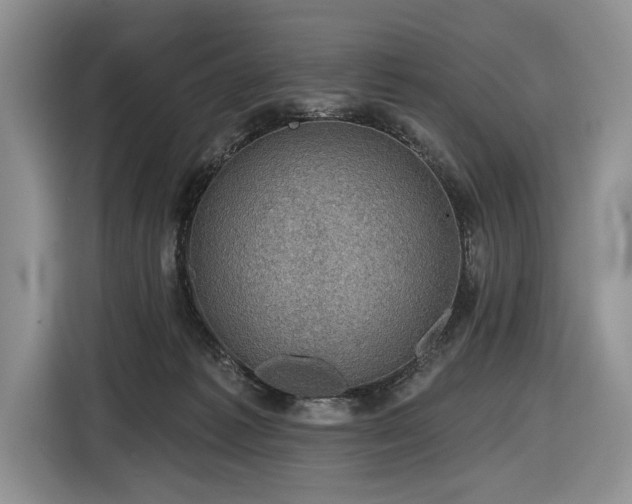 X0000116630221200912181331