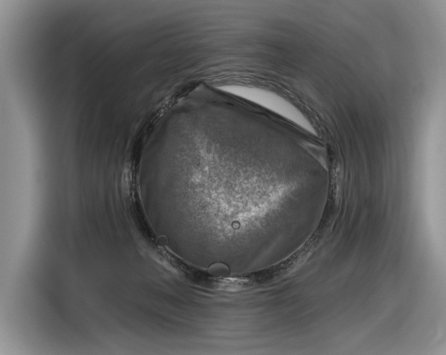 X0000116630222200912181331