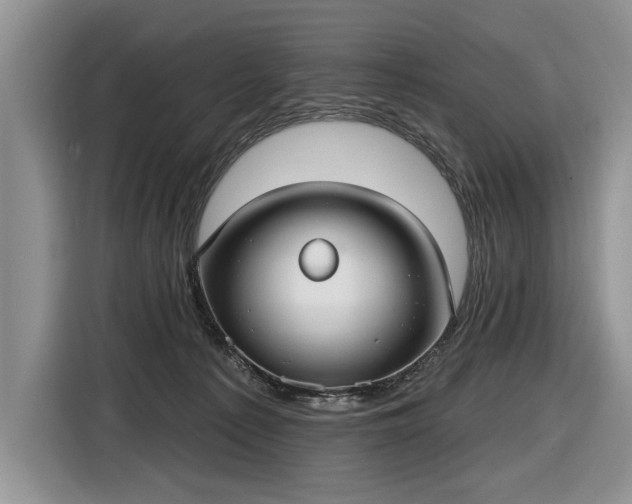 X0000116630225200912181331