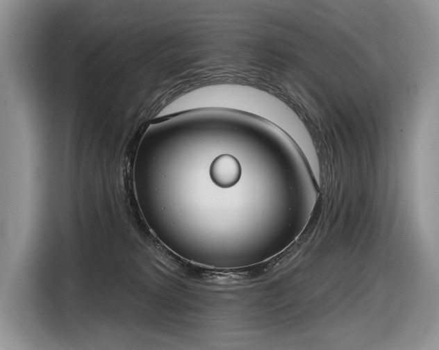 X0000116630229200912181331