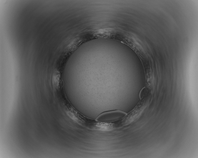 X0000116630231200912181331