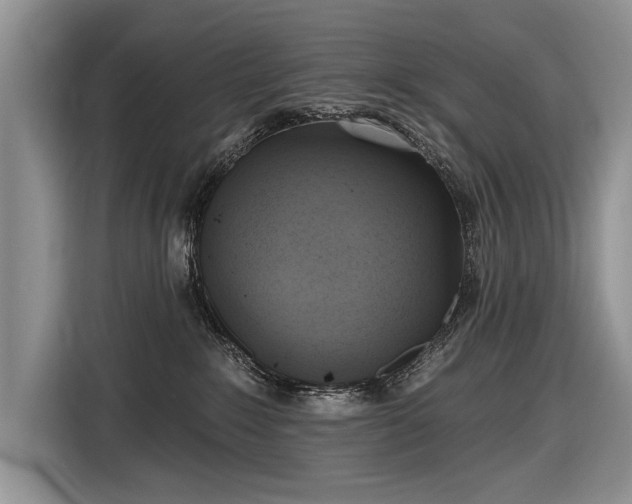 X0000116630235200912181331