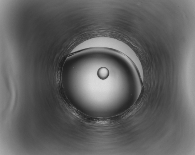 X0000116630236200912181331