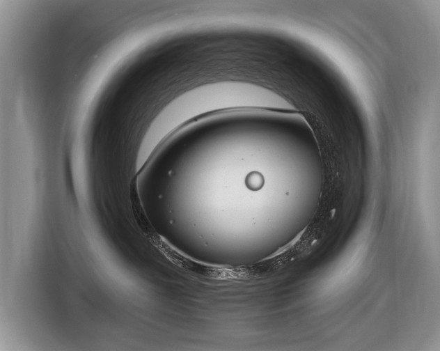 X0000116630239200912181331