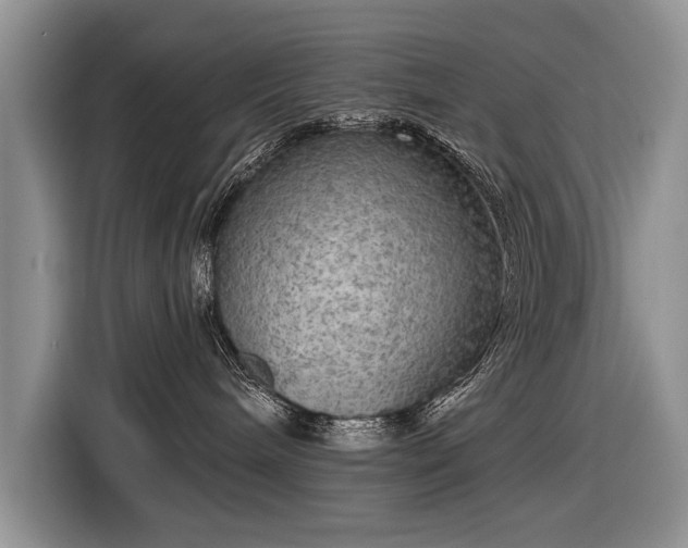 X0000116630240200912181331