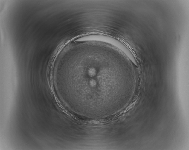 X0000116630241200912181330