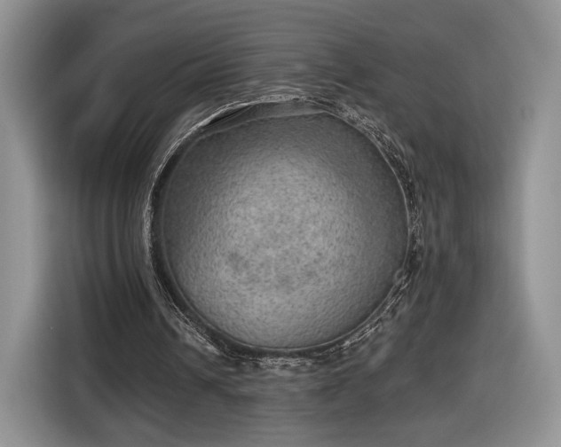 X0000116630242200912181330