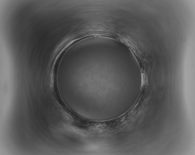 X0000116630243200912181330