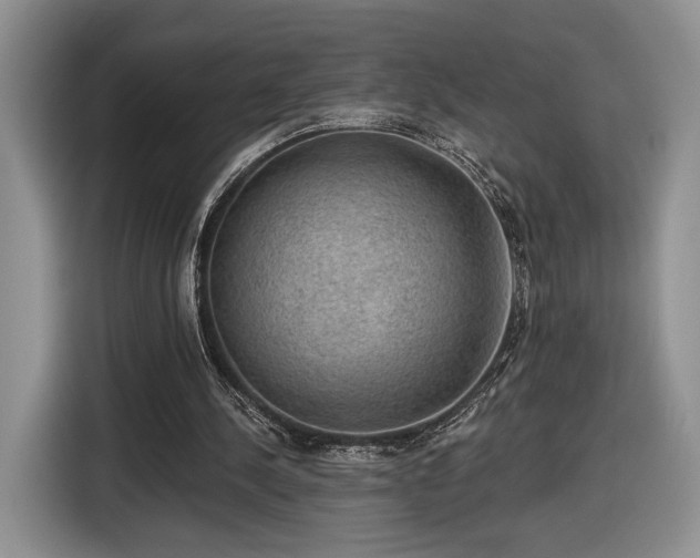 X0000116630244200912181330