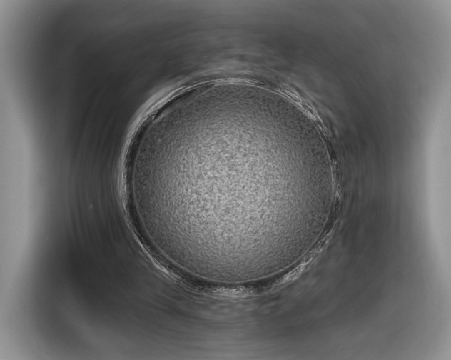 X0000116630245200912181330