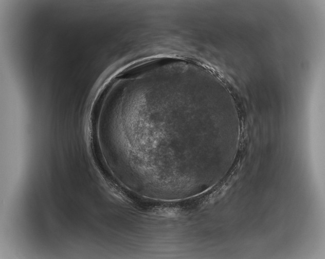 X0000116630247200912181330