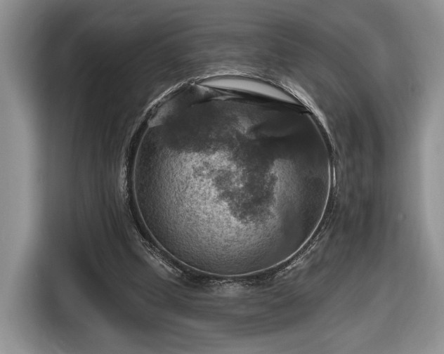 X0000116630249200912181330