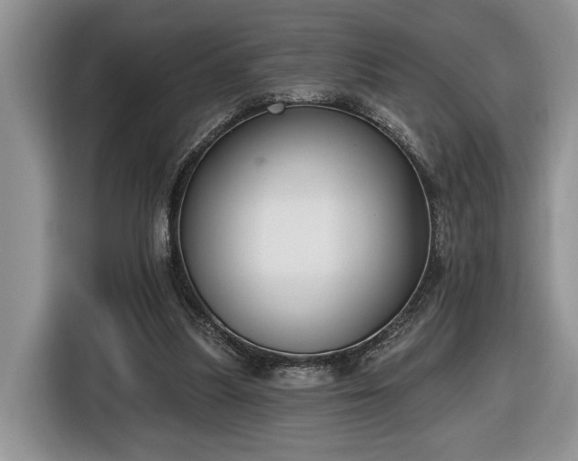 X0000116630251200912181330