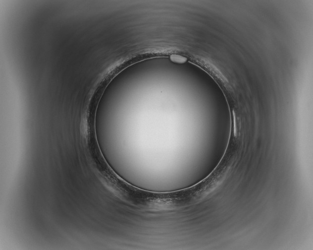 X0000116630252200912181331