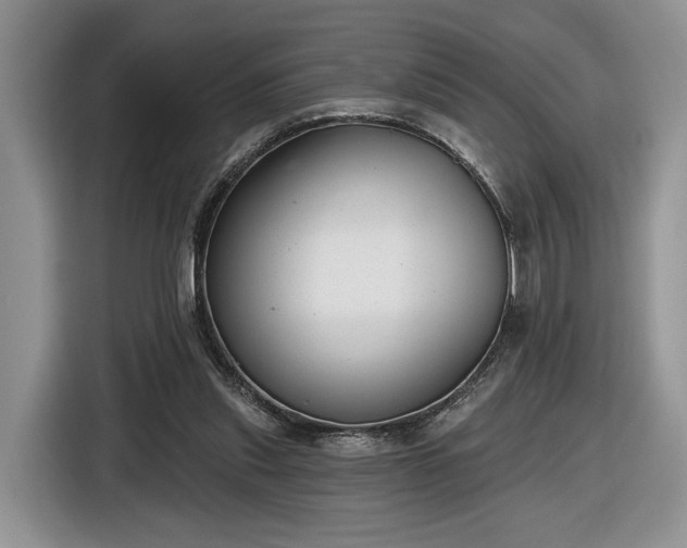 X0000116630253200912181331