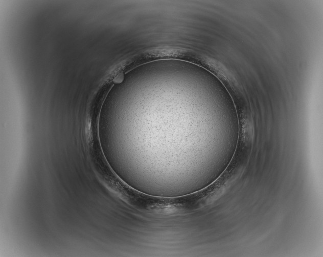 X0000116630254200912181331