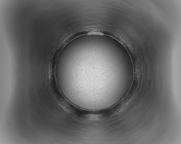 X0000116630255200912181331