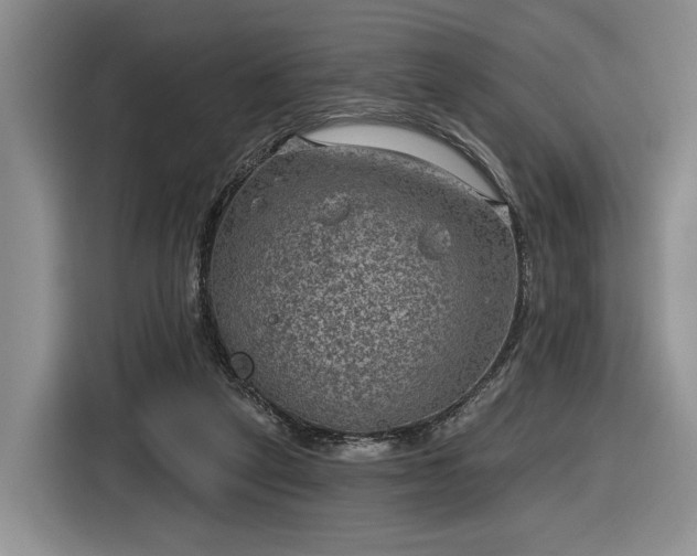 X0000116630257200912181331