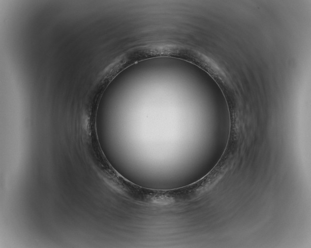 X0000116630258200912181331