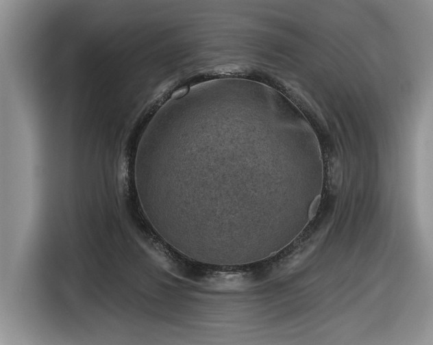 X0000116630260200912181331