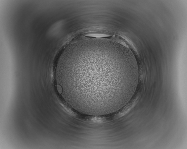 X0000116630261200912181331