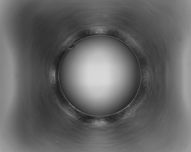 X0000116630262200912181331