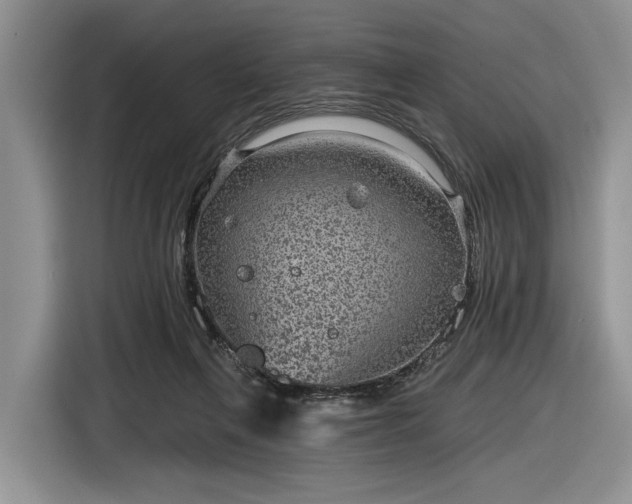 X0000116630263200912181331