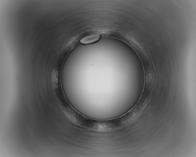 X0000116630264200912181331