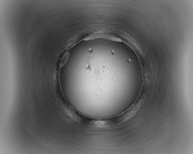 X0000116630265200912181331