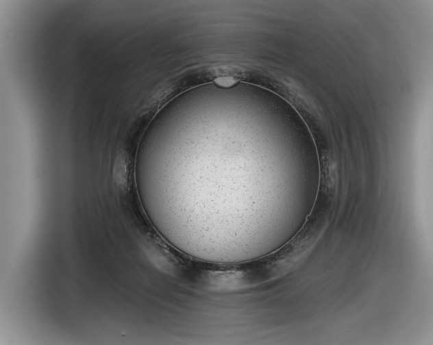 X0000116630266200912181331