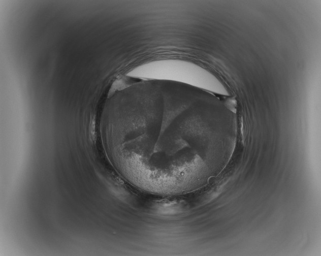 X0000116630267200912181331