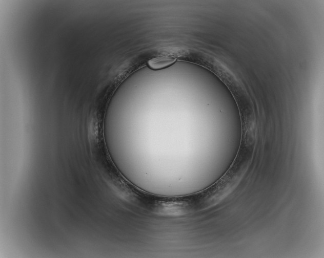 X0000116630268200912181331