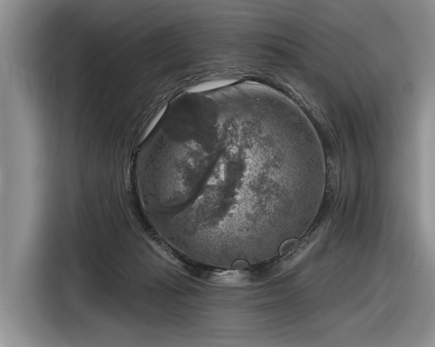 X0000116630269200912181331