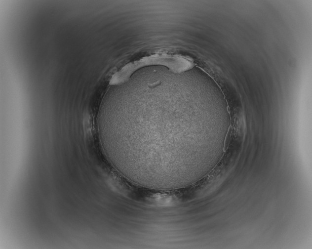 X0000116630272200912181331