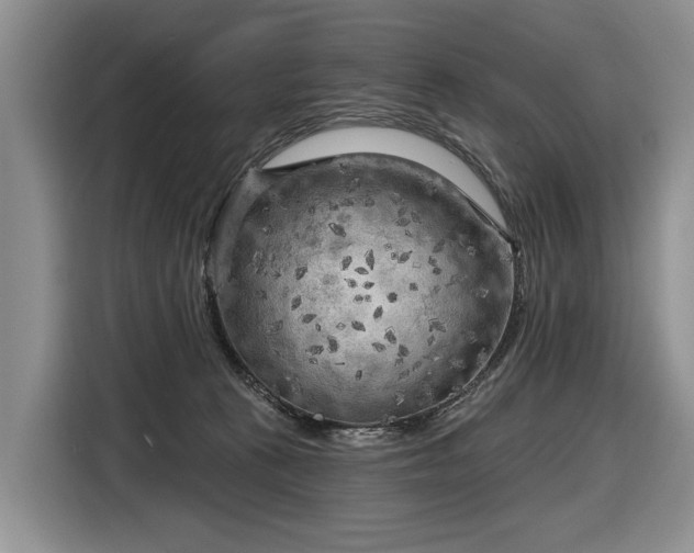 X0000116630273200912181331