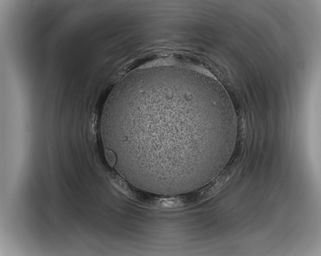 X0000116630275200912181331