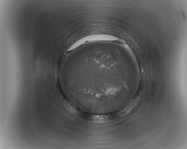 X0000116630277200912181331