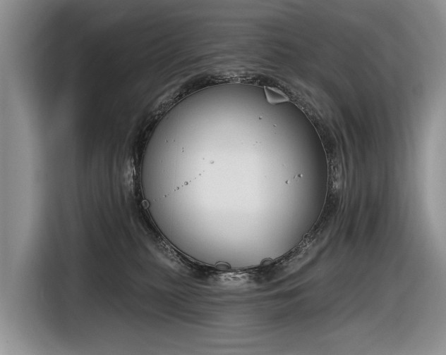 X0000116630279200912181331