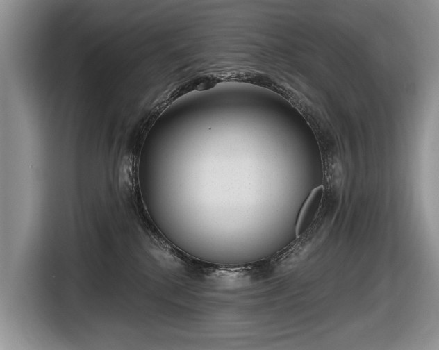 X0000116630280200912181331