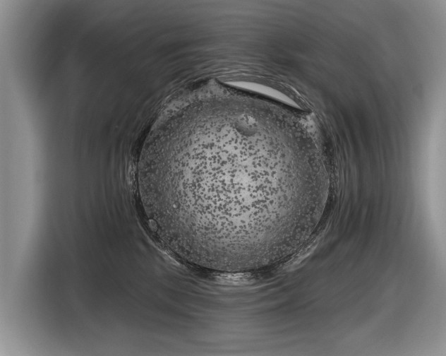 X0000116630281200912181331