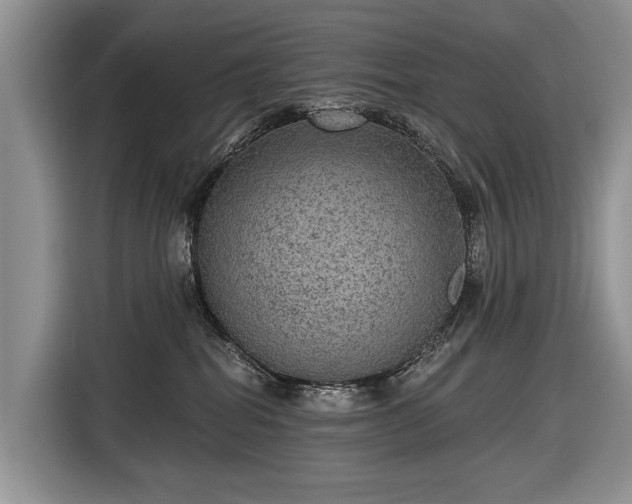 X0000116630282200912181331