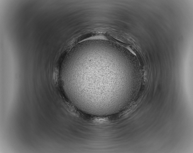 X0000116630283200912181331