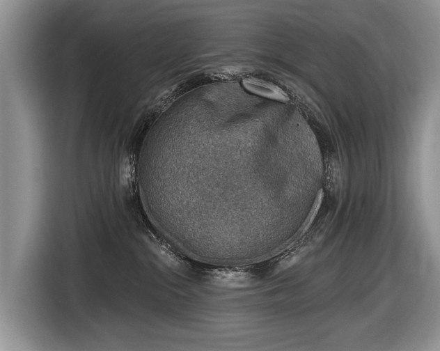 X0000116630284200912181331