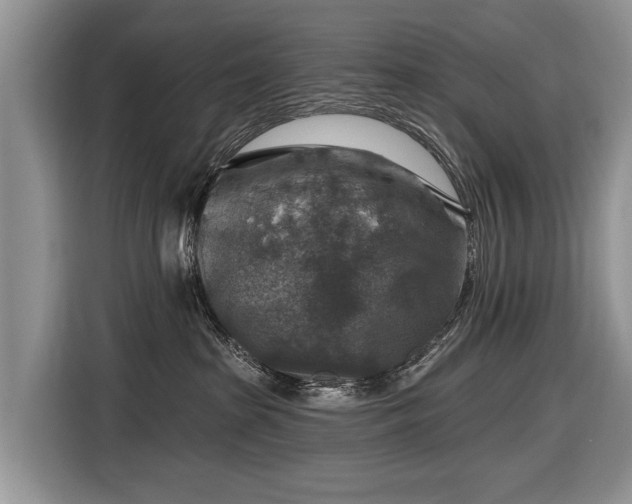 X0000116630285200912181331