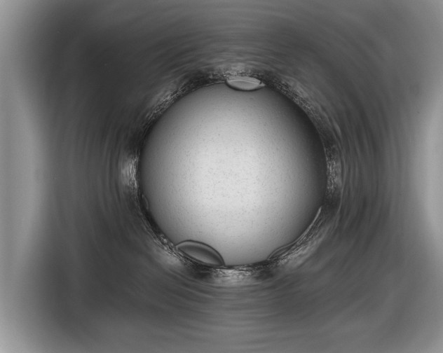 X0000116630286200912181331