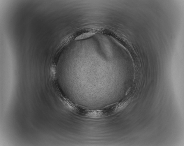 X0000116630288200912181331