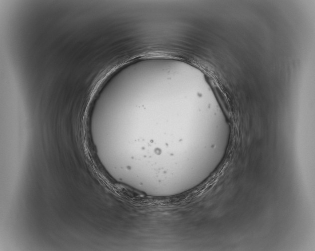 X0000116630289200912181330